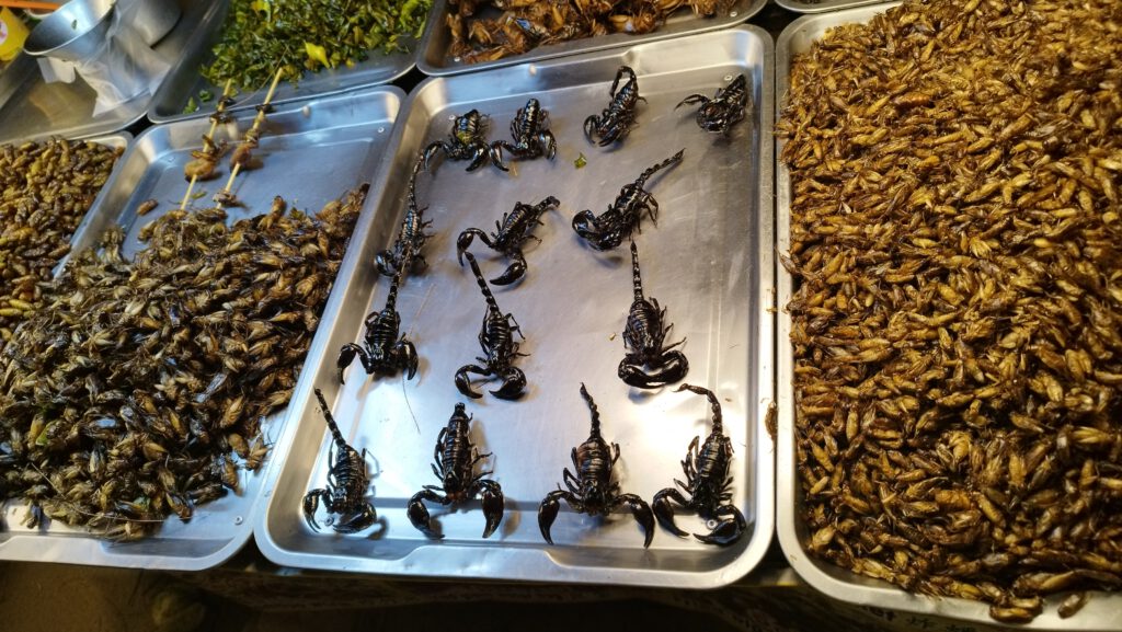 Insekten am Strand